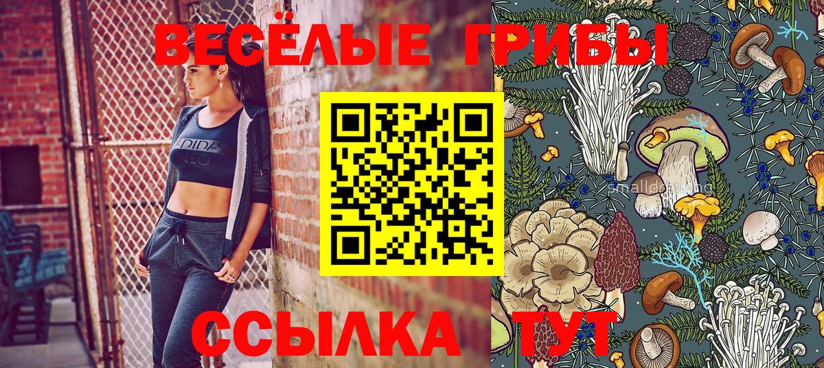 Галлюциногенные грибы GOLDEN TEACHER  Вход с VPN  Горно-Алтайск  где продают наркотики  Галлюциногенные грибы мухоморы 