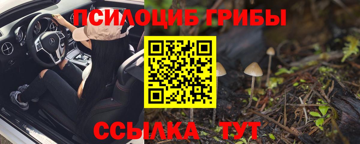Галлюциногенные грибы ЛСД Горно-Алтайск